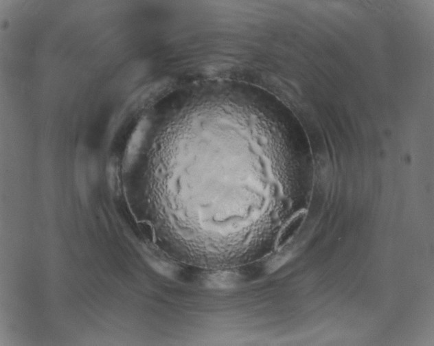 X0000073920527200608181052