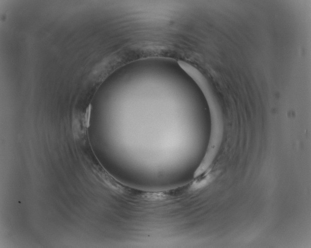 X0000073920528200608181052