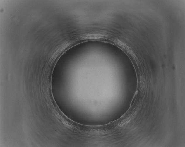 X0000073920529200608181051