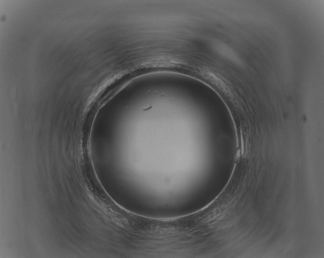 X0000073920531200608181051