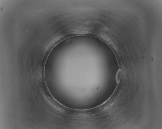 X0000073920533200608181051