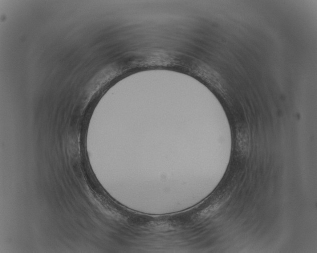 X0000073920534200608181051