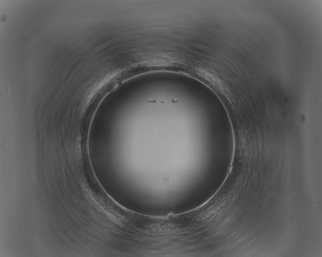 X0000073920535200608181051