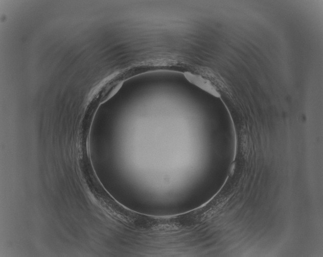 X0000073920536200608181051