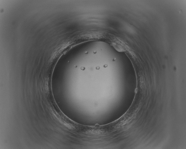 X0000073920537200608181051