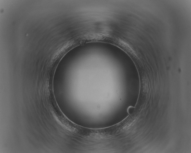 X0000073920538200608181051