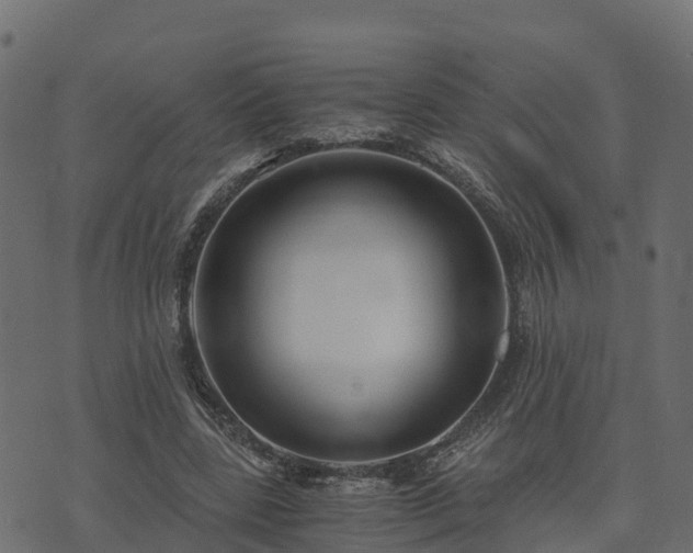 X0000073920539200608181051