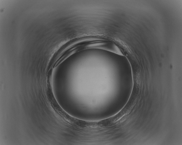 X0000073920540200608181051