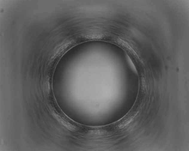 X0000073920541200608181051