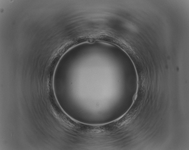 X0000073920542200608181052