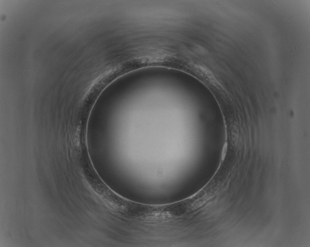 X0000073920543200608181052