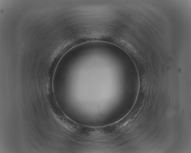 X0000073920544200608181052