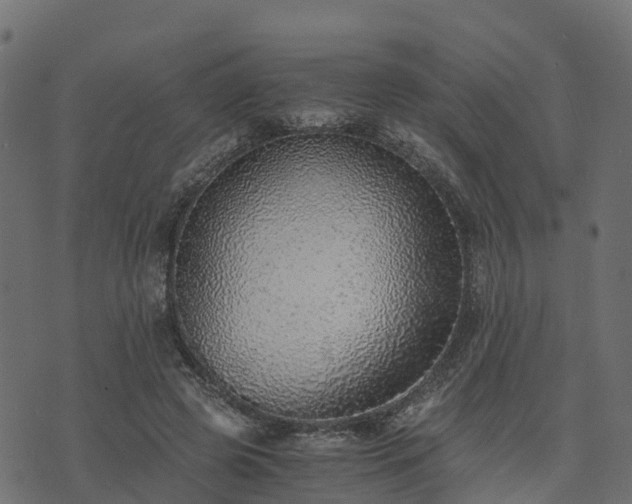 X0000073920545200608181052