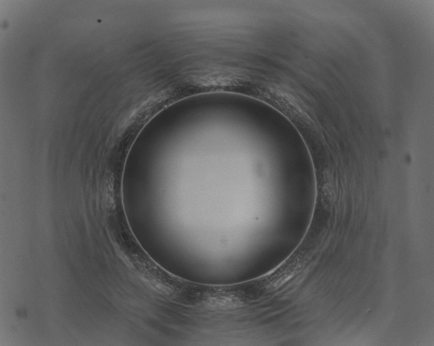 X0000073920547200608181052