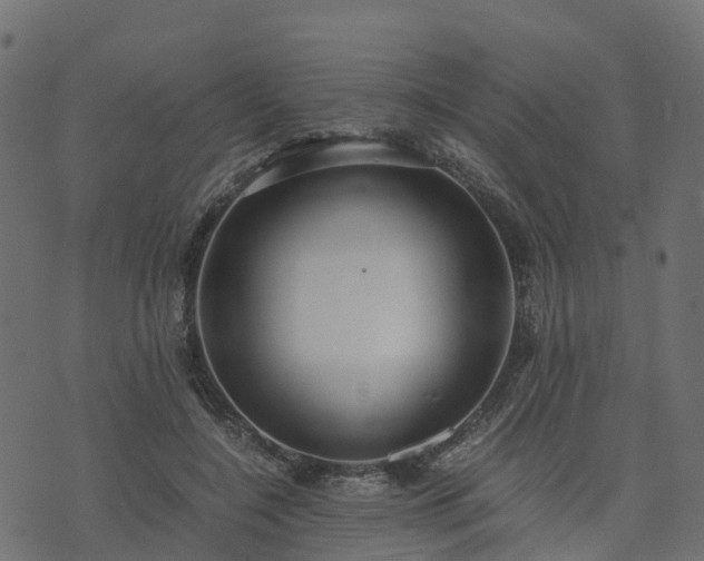 X0000073920548200608181052