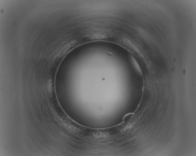 X0000073920549200608181052