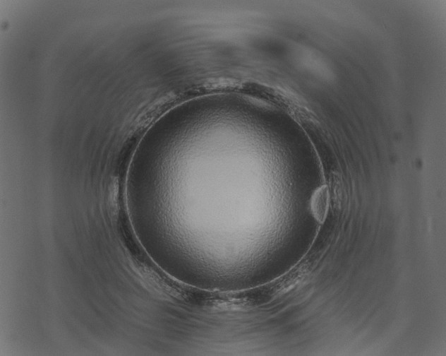 X0000073920550200608181052