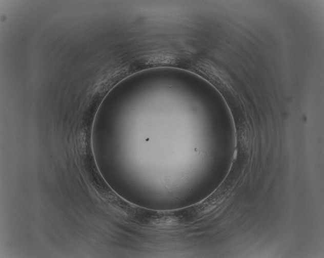 X0000073920551200608181052