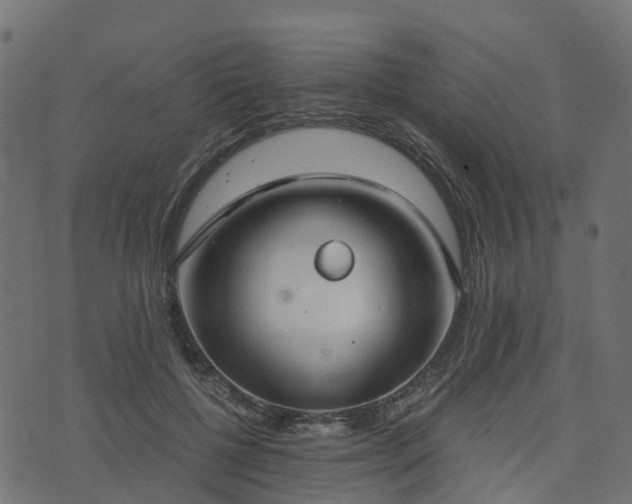 X0000073920552200608181052