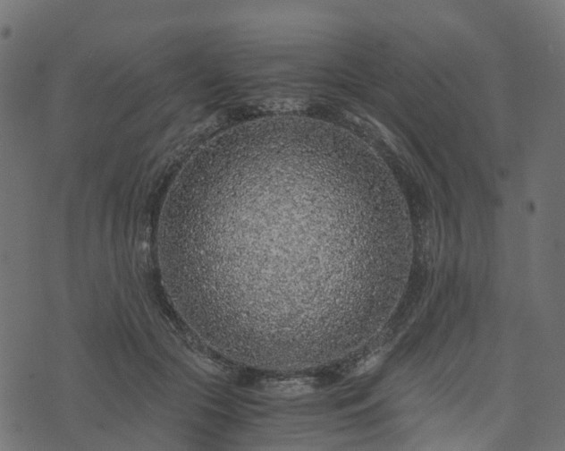 X0000073920553200608181052