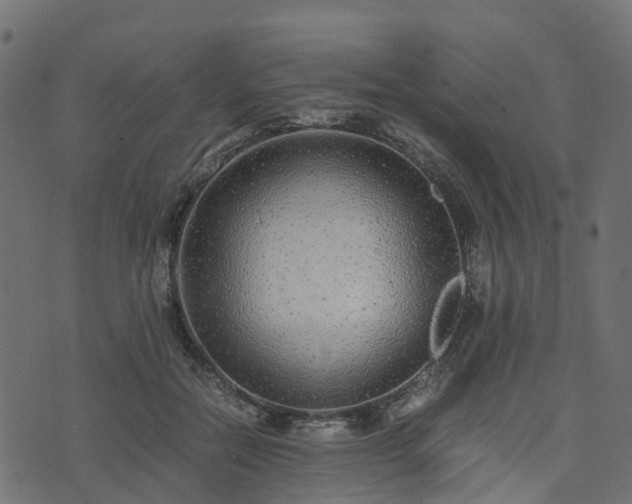 X0000073920554200608181052