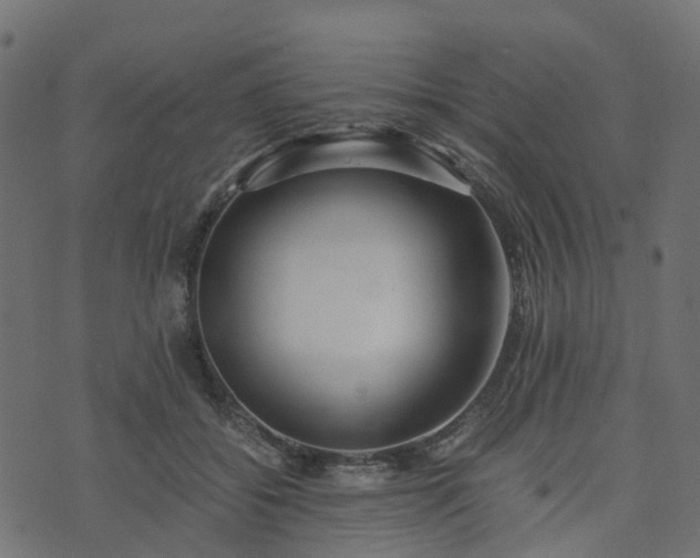 X0000073920556200608181052