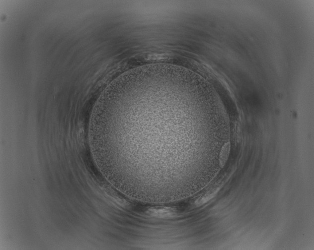 X0000073920557200608181052