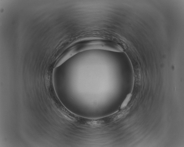 X0000073920558200608181052