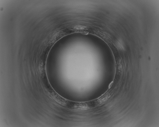 X0000073920559200608181052