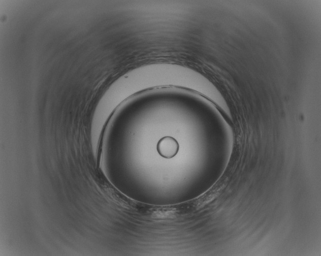 X0000073920560200608181052