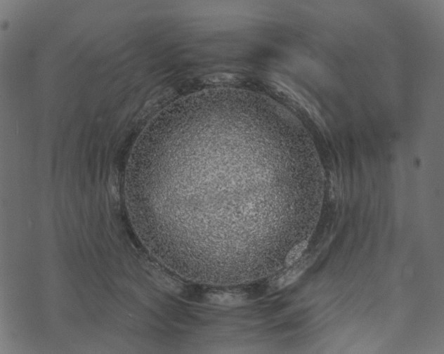 X0000073920561200608181052