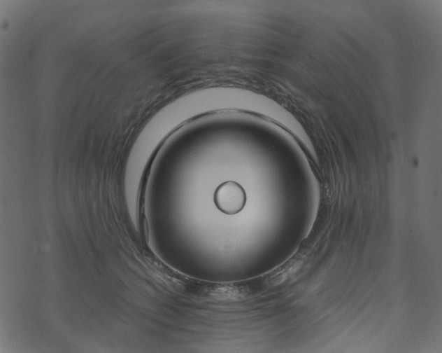 X0000073920562200608181052