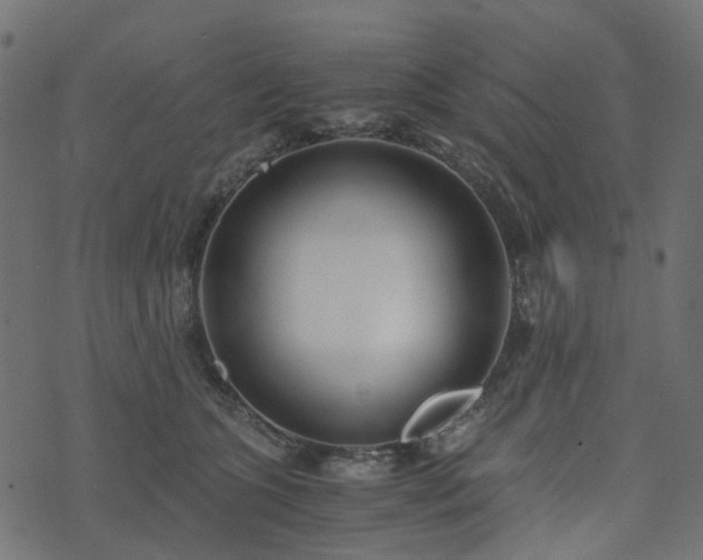 X0000073920563200608181052