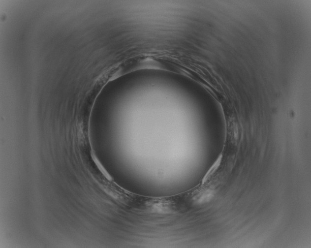 X0000073920564200608181052