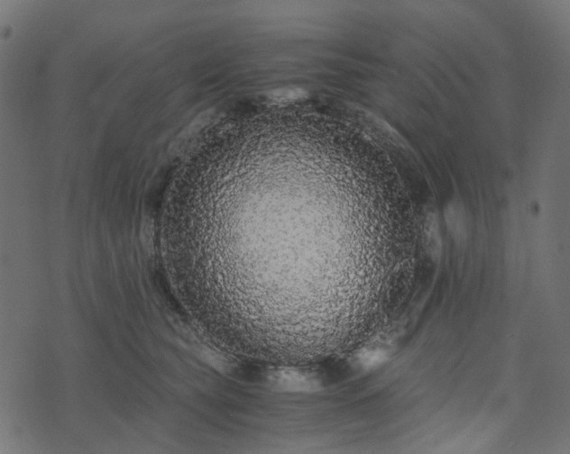 X0000073920565200608181052