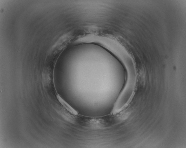 X0000073920566200608181052