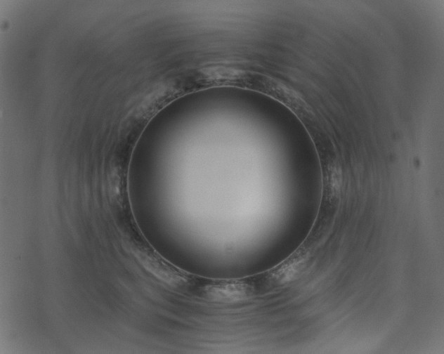 X0000073920567200608181052