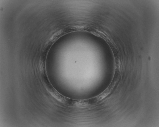 X0000073920568200608181052