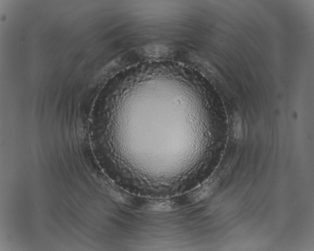 X0000073920569200608181052