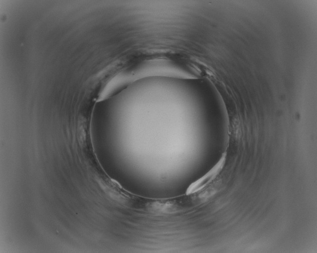 X0000073920570200608181052