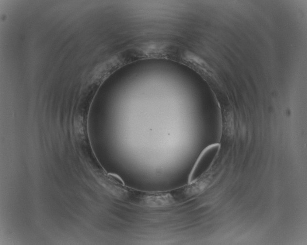 X0000073920571200608181052