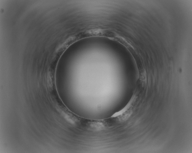 X0000073920572200608181052