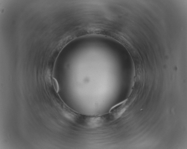 X0000073920575200608181052