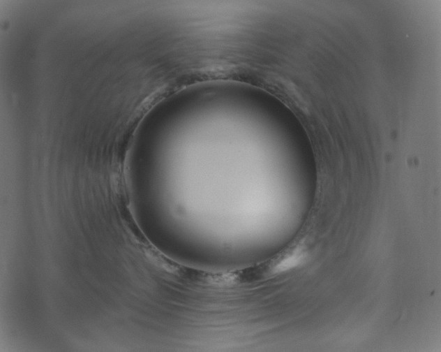 X0000073920576200608181052