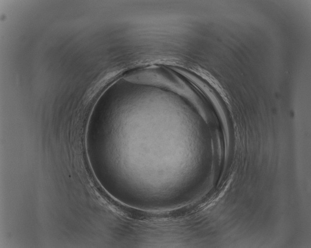 X0000073920577200608181051