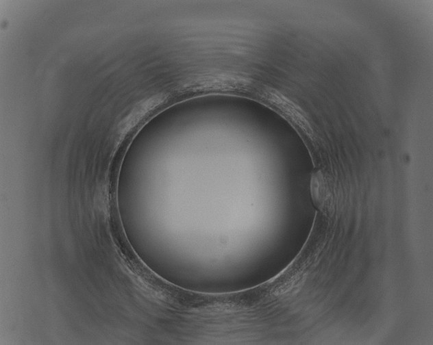 X0000073920578200608181051