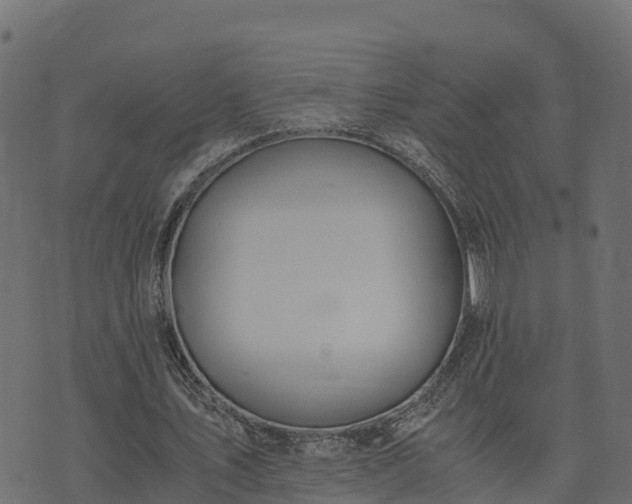 X0000073920579200608181051