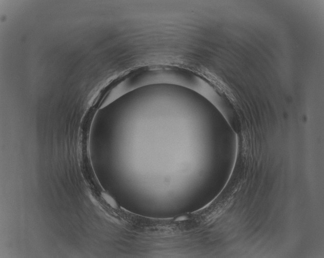 X0000073920580200608181051