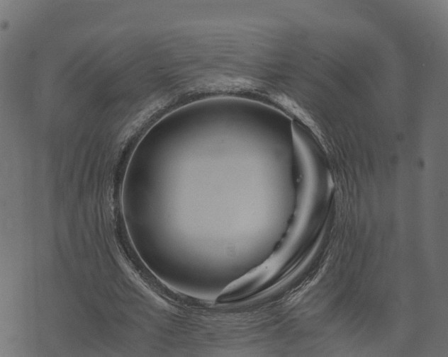 X0000073920581200608181051