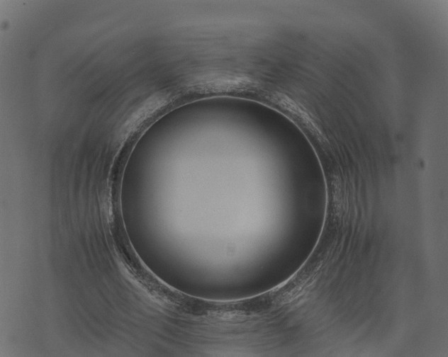 X0000073920582200608181051